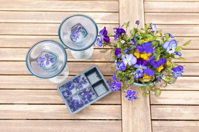 table-spread-with-cocktails-and-violas