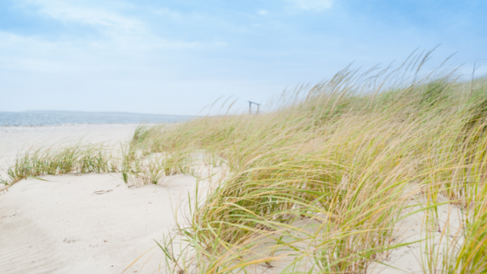 sand-dunes-on-cape-cod