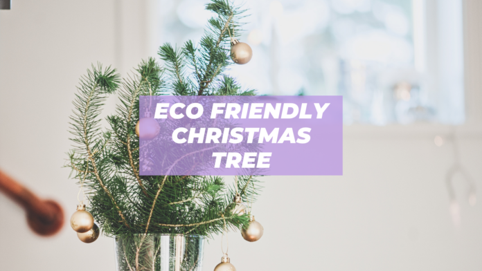 eco friendly christmas tree decorations