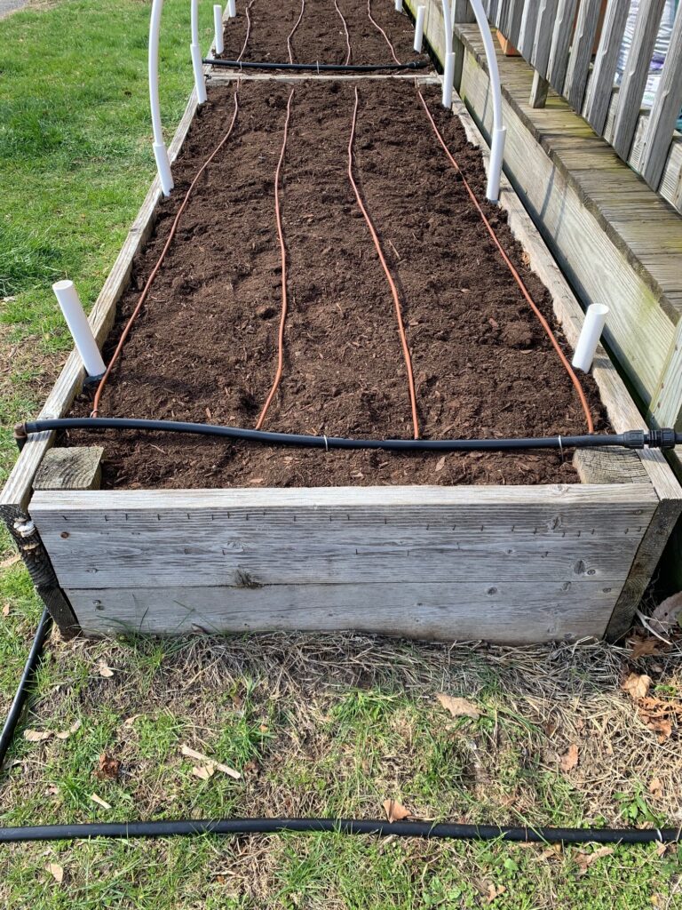 drip irrigation raised bed