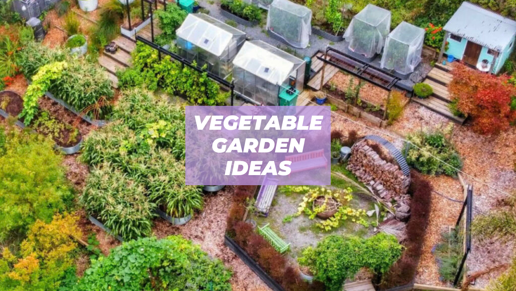vegetable garden ideas small spaces