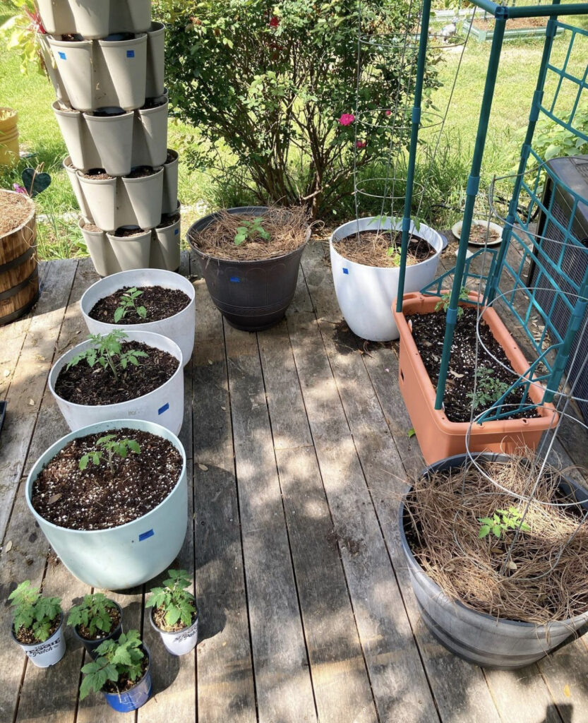 stack pots on rebar  Diy garden projects, Porch garden, Garden projects