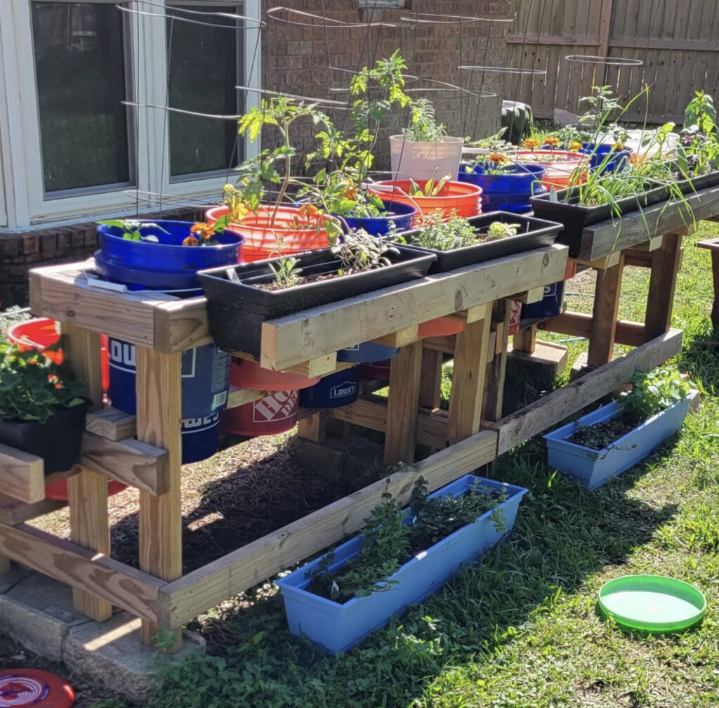 Tomato Garden Ideas 