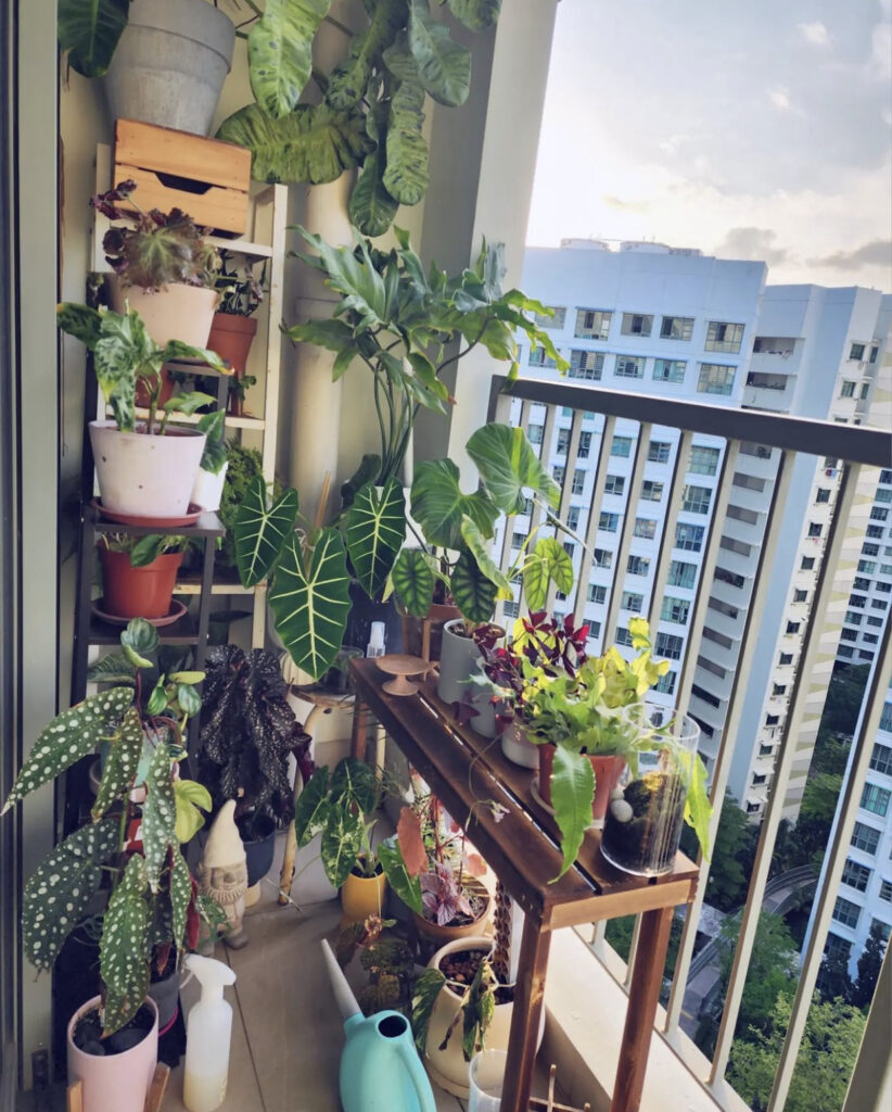Small Garden Ideas for Apartment Balcony
