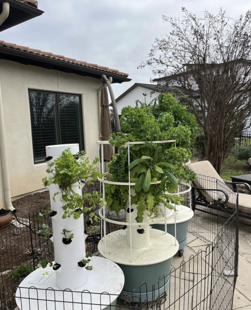 Small Vegetable Garden Ideas 