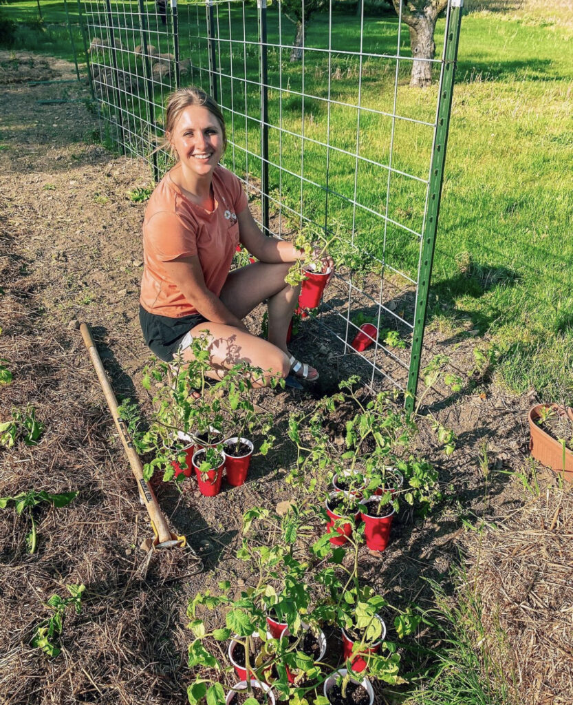 Tomato Garden Ideas 