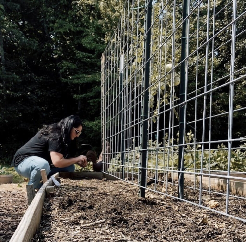 Fall Vegetable Garden Ideas - Fencing for Peas