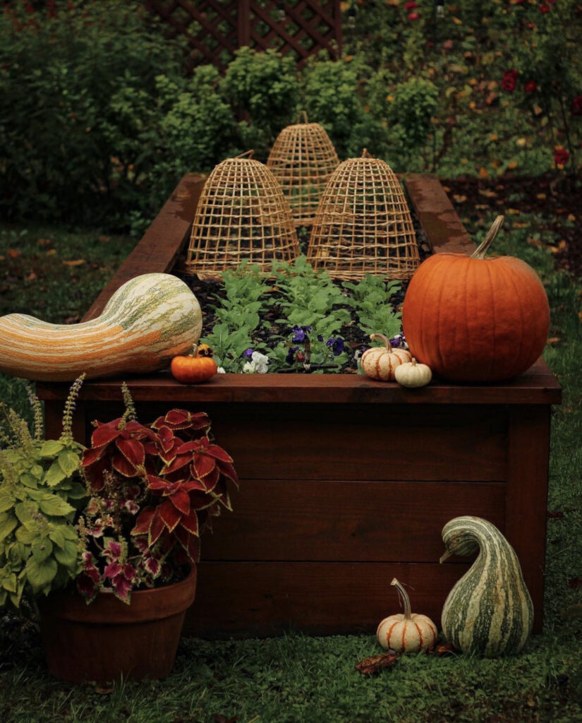 Fall Vegetable Garden Ideas - Fall Harvest