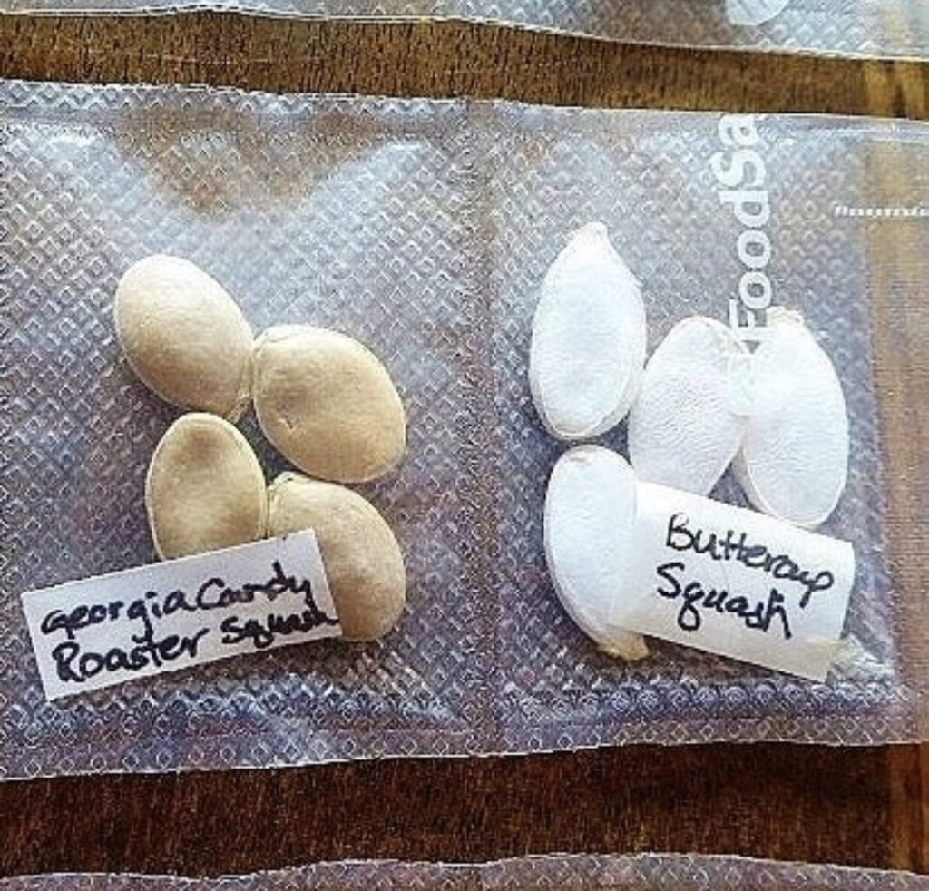 Store Seeds - Sealed pockets
