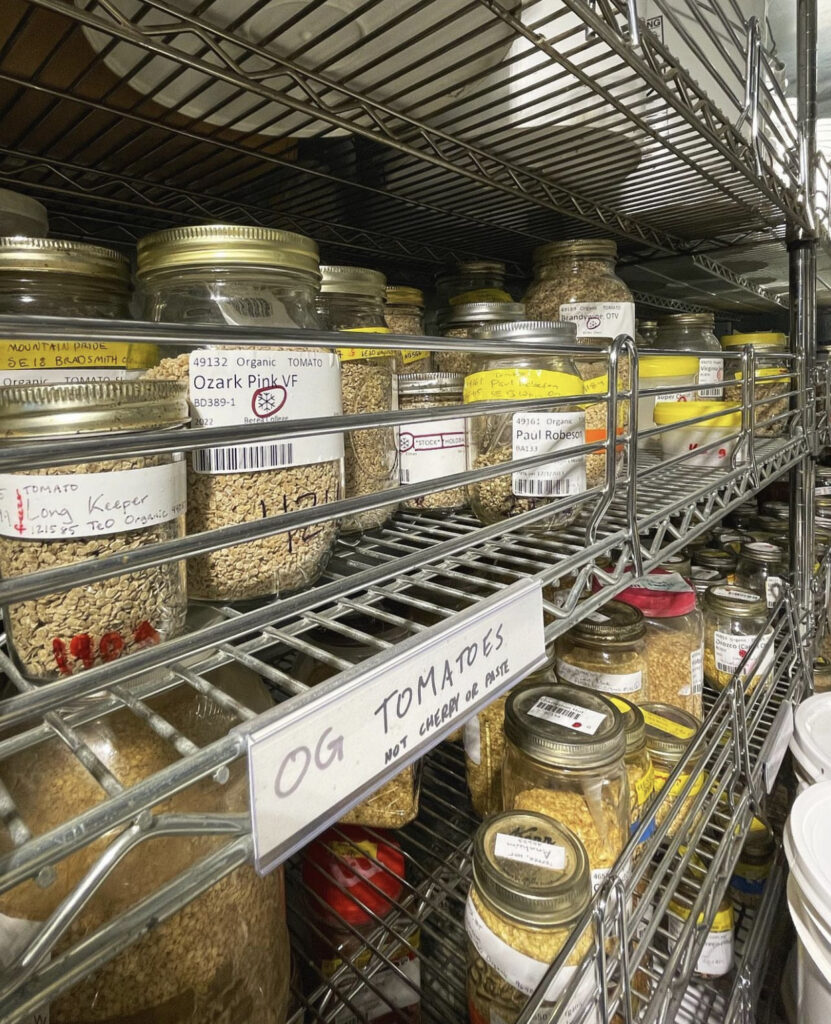 Store Seeds - Seeds in jars fridge
