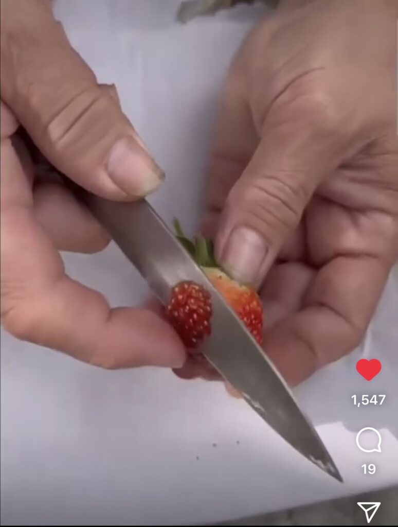Save Seeds  - Strawberry Fruit