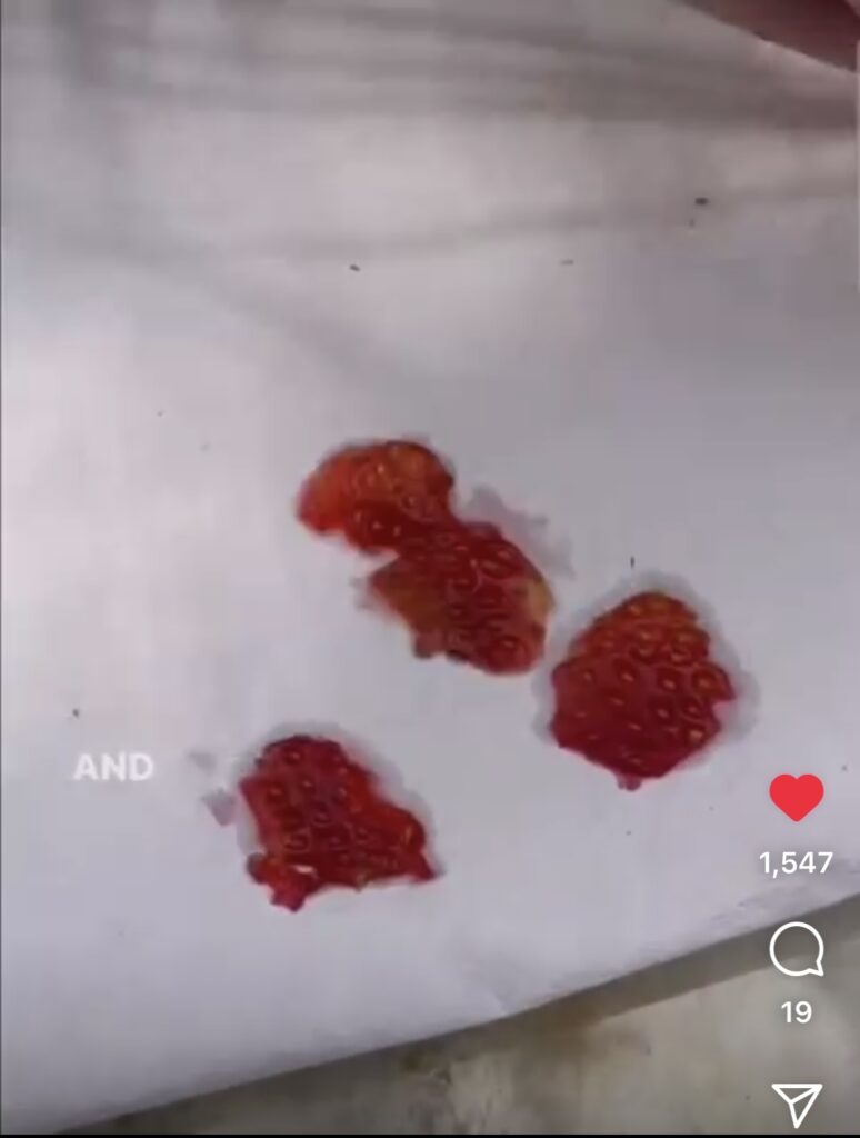 Save Seeds  - Pieces of Strawberry Fruit on Paper Towel