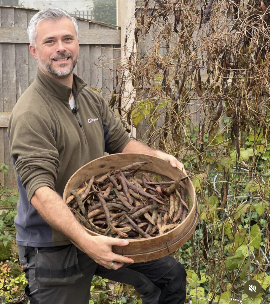 Save Seeds - Man Harvesting French Beans in Basket