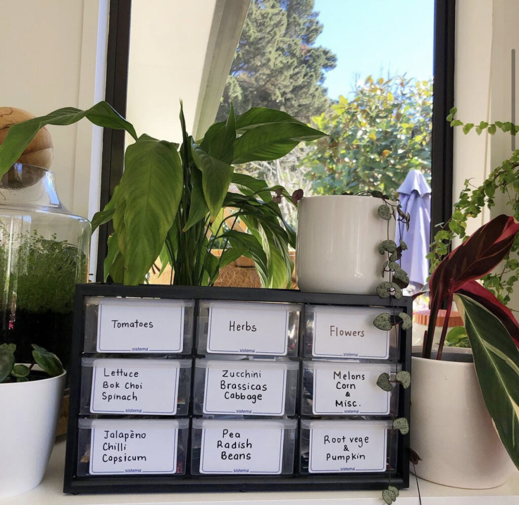 Store Seeds - Mini Drawer Organizer on  Counter