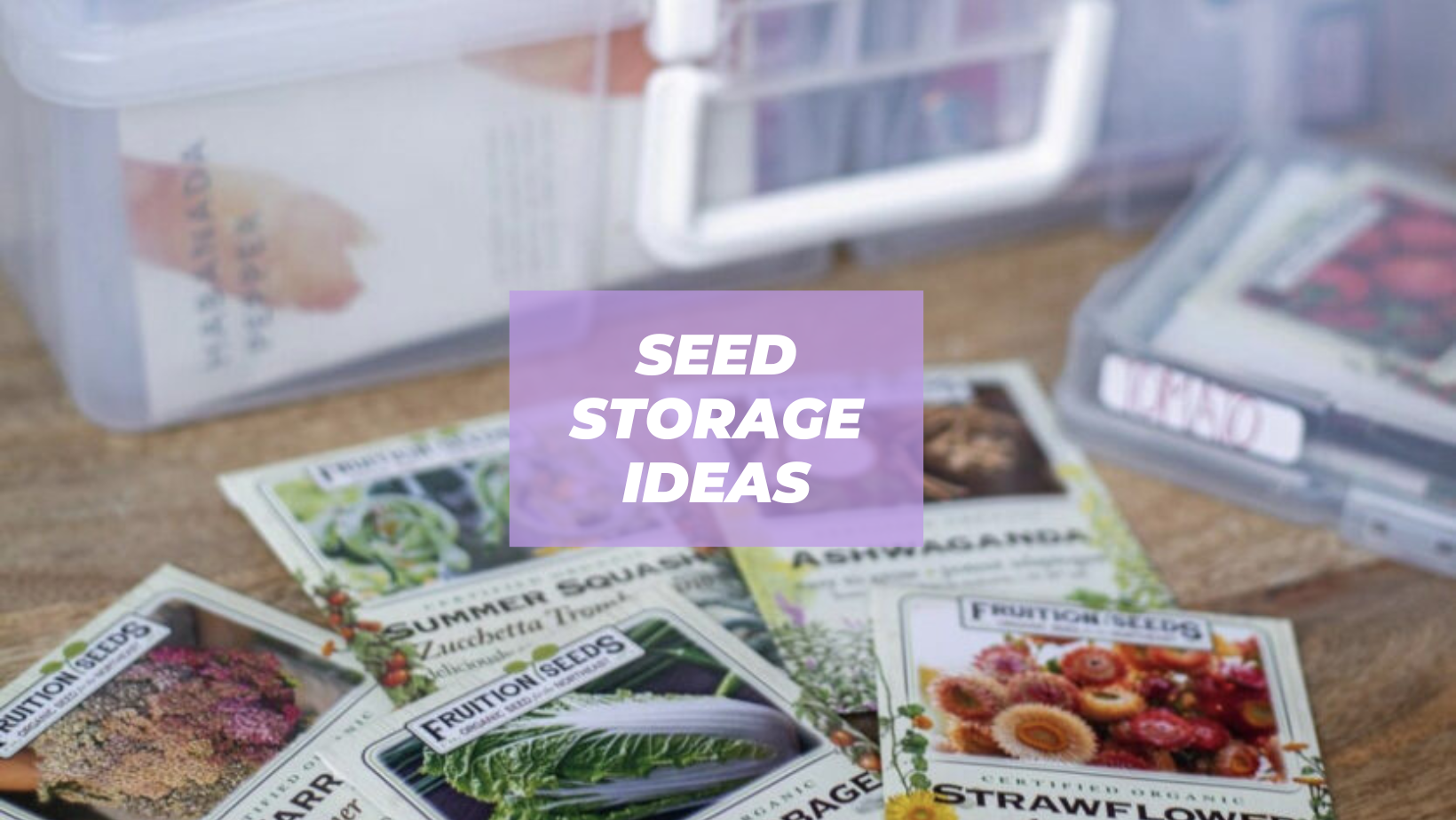 best ways to store seeds