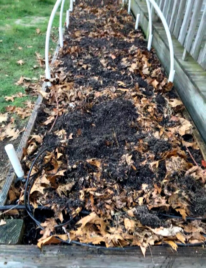 how to improve garden soil over the winter