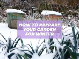 how to prepare garden for winter