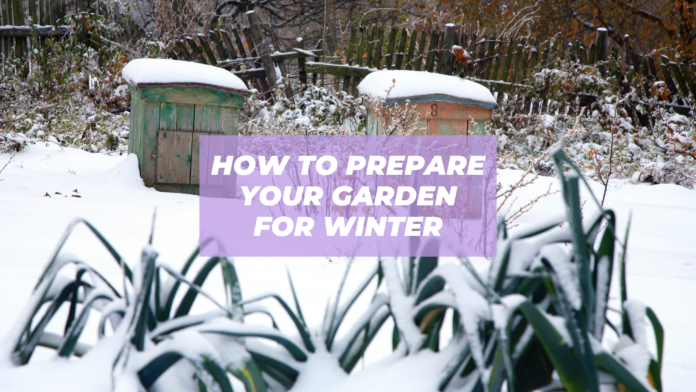 how to prepare garden for winter
