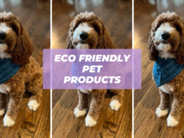 eco friendly pet products