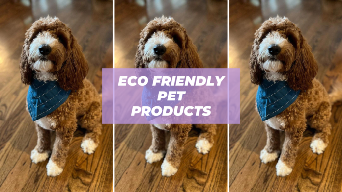 eco friendly pet products