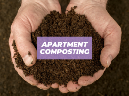 apartment composting
