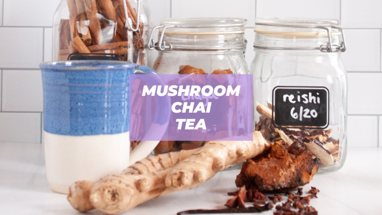 Mushroom Chai Tea | Slow Cooker Recipe - PunkMed