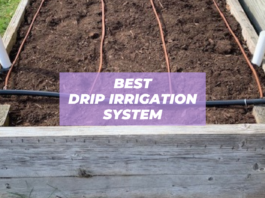 best drip irrigation system for raised beds