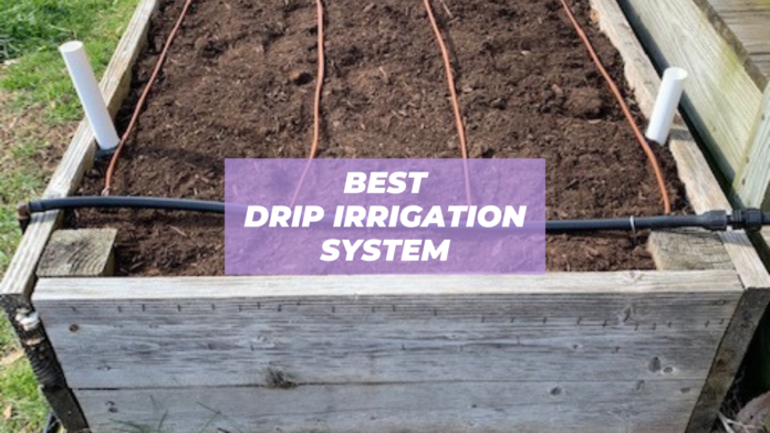 best drip irrigation system for raised beds