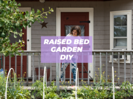 diy raised bed garden