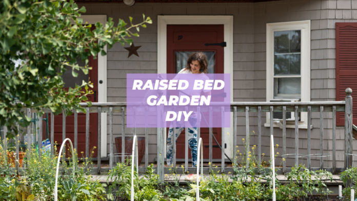 diy raised bed garden