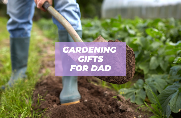 best gardening gifts for dad