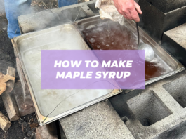 how to make real maple syrup
