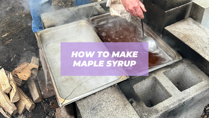 how to make real maple syrup