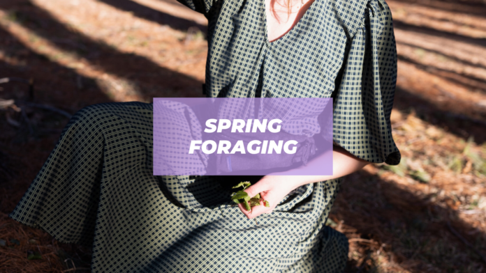 spring foraging guide