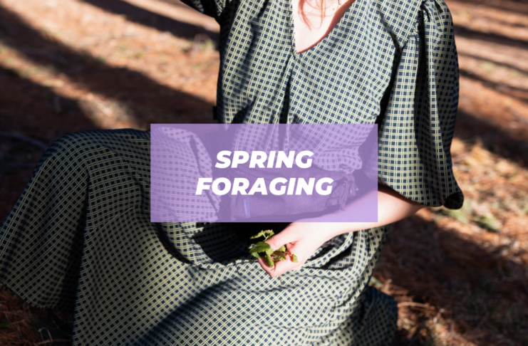 spring foraging guide