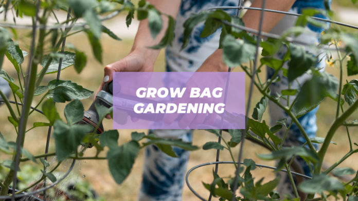 grow bag gardening ideas