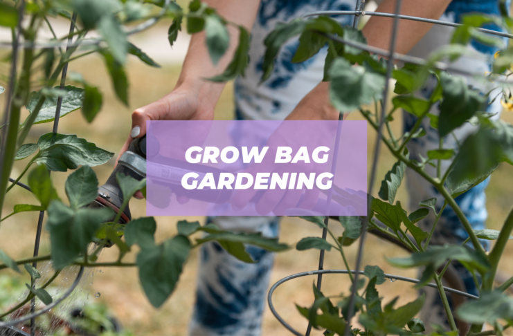 grow bag gardening ideas