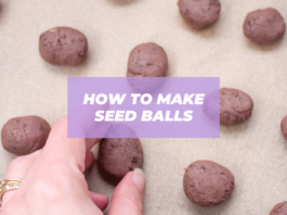 how to make seed balls easy