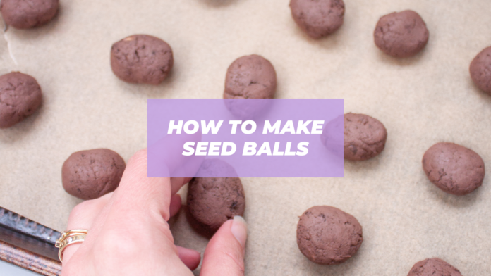 how to make seed balls easy